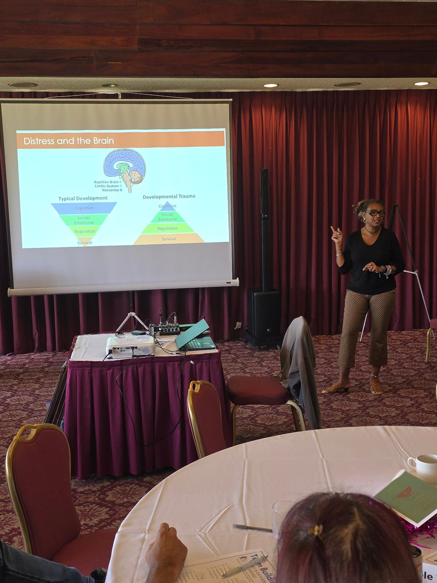 Dr. Coffee facilitating a presentation on distress and the brain