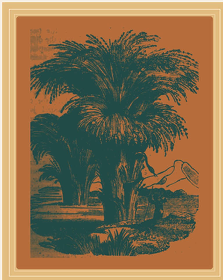 Bamboo grove print in deep teal and warm ochre
